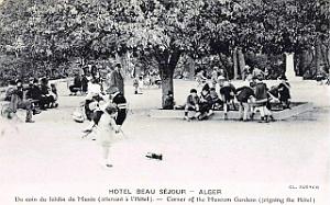 Alger - Hotel Beausejour - Jardin du musee 